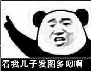 看我儿子发图多叼啊