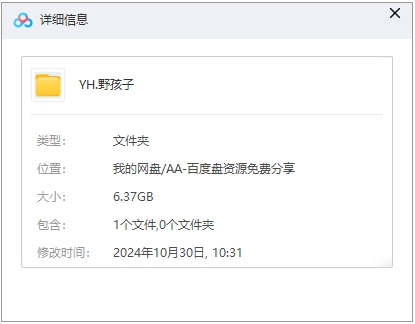 野孩子2024 网盘属性