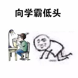 向学霸低头