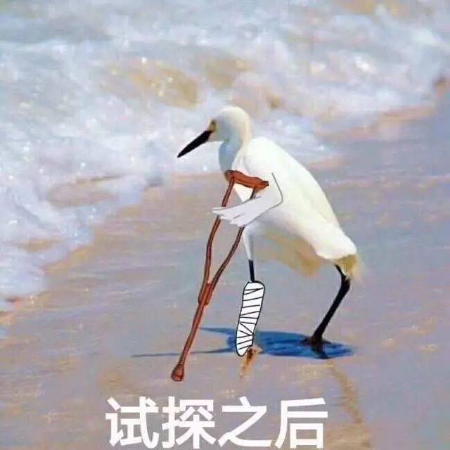 试探之后